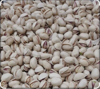 پسته کله قوچی ممتاز