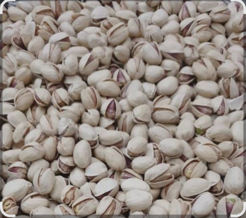 پسته کله قوچی ممتاز