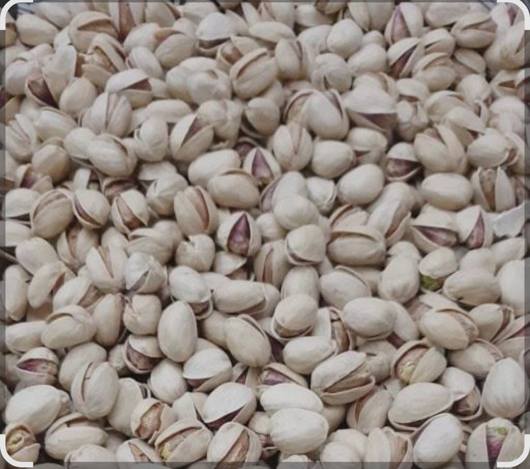 پسته کله قوچی ممتاز