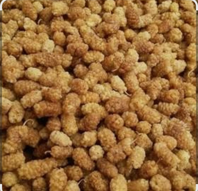 توت خشک 🍃 شیرینِ طبیعی، سالم و خوشخوراک 🤍 بدون افزودنی و با طعمی نوستالژیک انتخابی عالی برای میانوعده سالم، کنار چای یا صبحانهای مقوی ✨